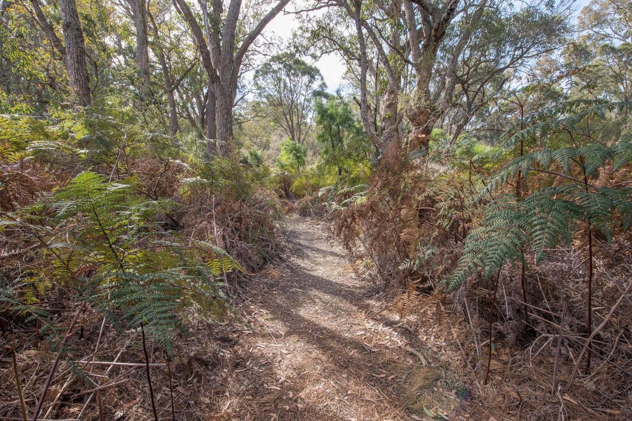Yelverton Brook Conservation Sanctuary Metricup Exteriér fotografie